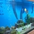 6ft, 510 litre ND Aquatics Aquarium for sale