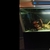 6ft x 2ft x 2.5ft 850ltr aquarium