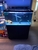 Fish tank set up