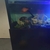 6ft x 2ft x 2.5ft 850ltr aquarium