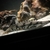 FOR SALE Ornate bichir, endlicheri bichir & 3x Red hooks