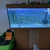 Aquarium fish tank juwel Rio 300L complete setup