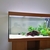 Juwel Rio 350 With LED light Unit And Stand