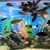 Malawi Cichlids For Sale - (bulk)