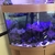 Jewel Trigon 190 Marine Tank