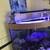 Jewel Trigon 190 Marine Tank