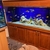 5ft aquarium on stand