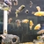 Big selection of African Cichlids