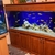 5ft tank set up on stand for sale