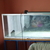 7X2X2 FEET TANK & MILDS STEEL STAND FOR SALE £250 (SELL ONLY-NO SWAP OR PAR