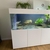 Nd aquatics tank 10months old great condition