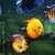 11 Discus fish and silver shark