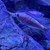 Benthochromis Horii