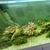 White Marine Tank 5ft