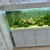 White Marine Tank 5ft