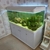 White Marine Tank 5ft