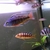 Lots of Malawi cichlids for sale, young and adult