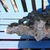 Large Aquarium Rock (ideal for malawi or marines)