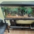 4ft Tank with stand, Full set up