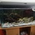 3ft Clearseal full tank setup for sale - SOLD pending collection