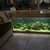 Mature aquarium in for of coffee table with 40+ Malawi