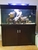 Complete 400L Marine aquarium and contents