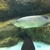 NAMI GREEN ASIAN AROWANA - 22-24inch - £400