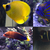 Addis bfly, Annularis Angel, Red coris and Maroon clownfish for sale