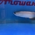 PLANET AROWANA NEW STOCKIST OF AROWANA