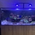 4ft Eva reef aquarium and stock