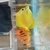 Yellow tang and flame angle