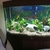 JUWEL RIO 180 BOW FRONT Tropical Freshwater Tank and Cabinet 150.00.