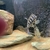 Breeding pair of Jaguar cichlids currently with fry