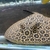 Pearl Stingray Pair 9-10inch - MALE/ FEMALE - UNRELATED