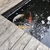 1 x Koi for sale.