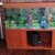 2m (6ft 6inches ) aquarium for sale.