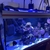 Reef EQUIPMENT FOR SALE , reef wave , kelo kessil light, FX6 etc