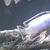 Mbuna f1 cichlids