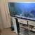 6ft 6 Fish tank with cabinet, lid, lights and external filter £350