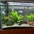 Beautiful, bespoke tropical aquarium, 220 litre,