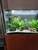 Beautiful, bespoke tropical aquarium, 220 litre,