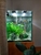 Beautiful, bespoke tropical aquarium, 220 litre,