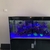 Complete Marine Aquarium EHEIM INCPIRIA