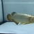 Golden Arowana for sale