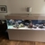 Large tank cabinet and hood for sale