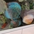 Mature fish tank with 4 happy discus for sale