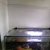 Large 4x2x2 Aquarium