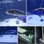 Malawi/predator haps/african cichlids/fish