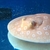 Albino Pearl Freshwater Stingray