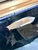 STUNNING ALBINO AROWANA 8” MUST SEE  